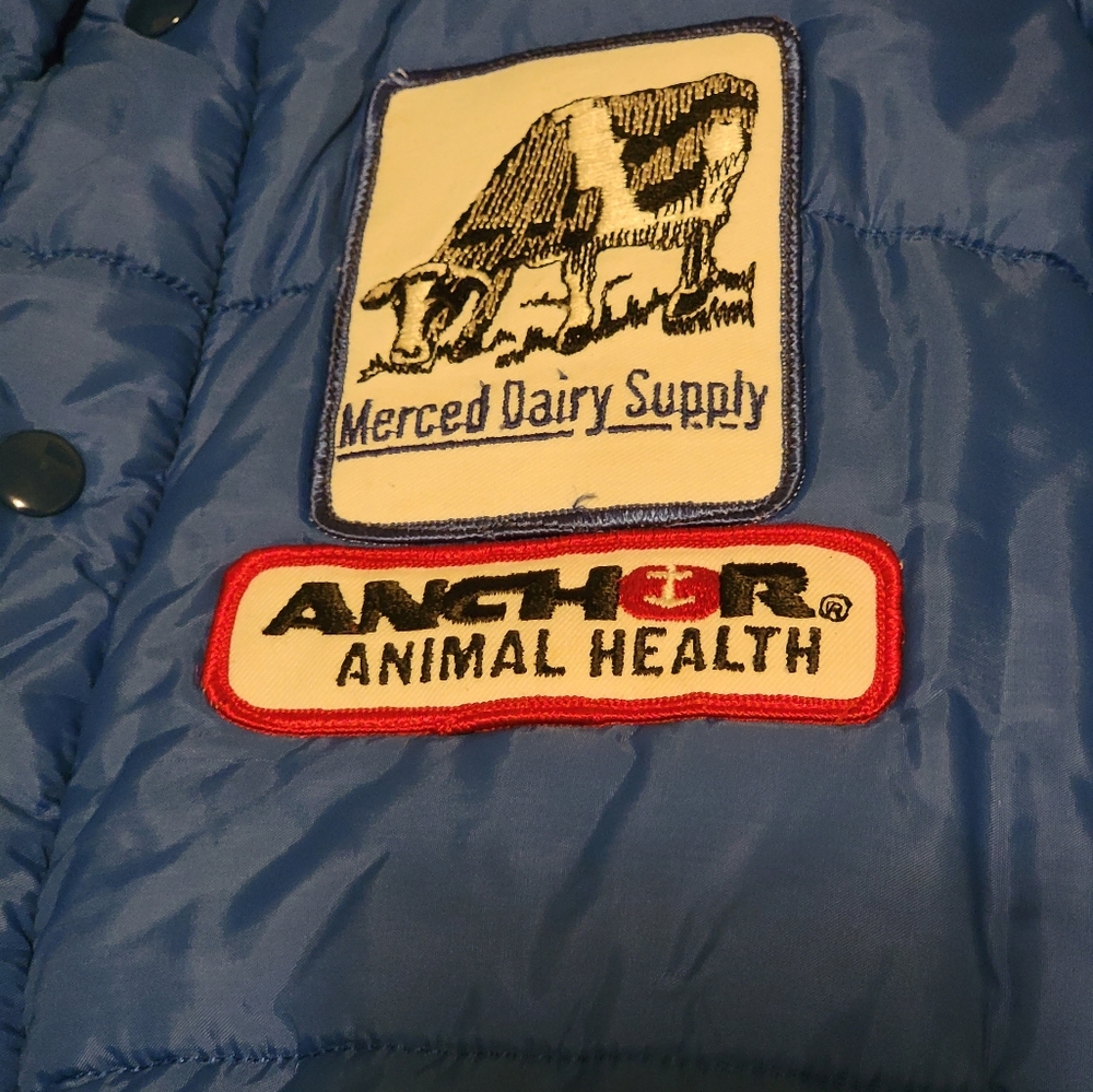 Blue Puffer Jacket - Picture 4 of 8